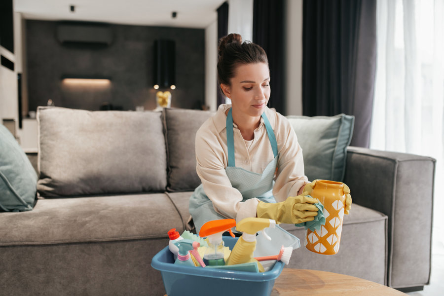 Regular Housekeeping