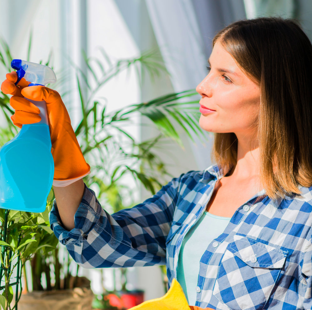 Professional cleaning a bright home